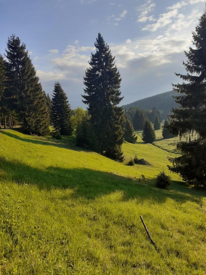 Chalupa U Pratel Kovarska ภายนอก รูปภาพ