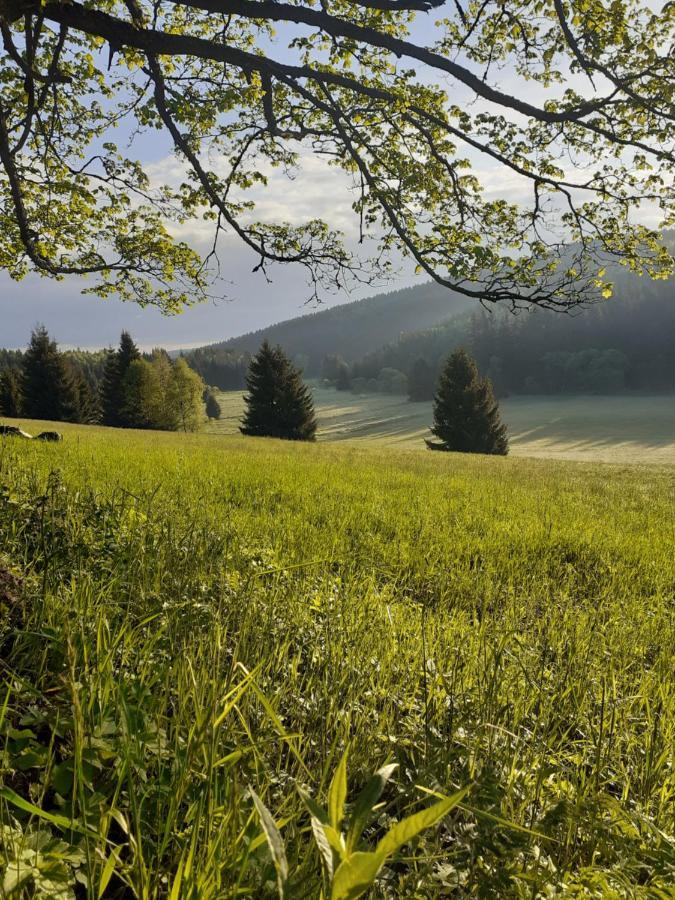 Chalupa U Pratel Kovarska ภายนอก รูปภาพ