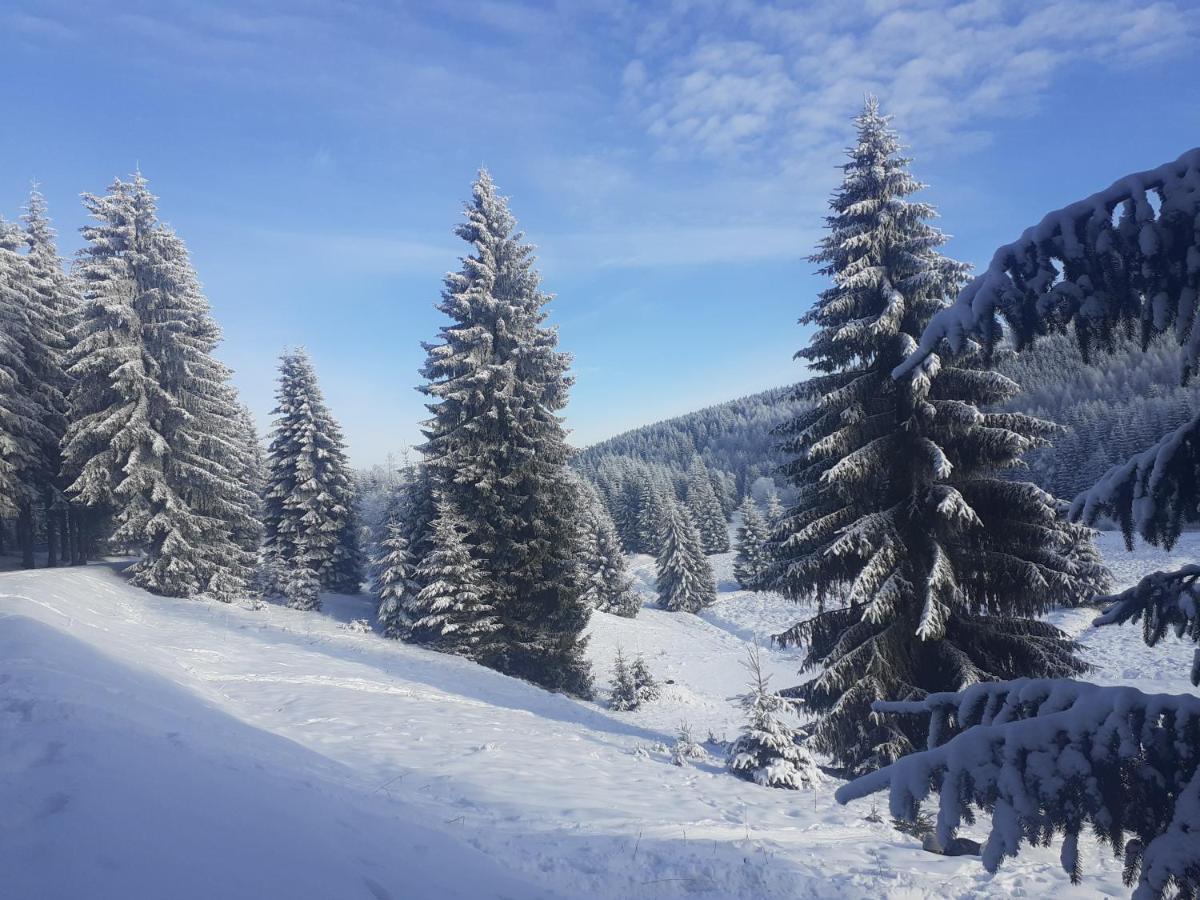 Chalupa U Pratel Kovarska ภายนอก รูปภาพ
